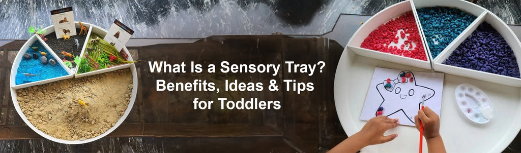 What Is a Sensory Tray? Benefits, Ideas & Tips for Toddlers | The Childrens lab